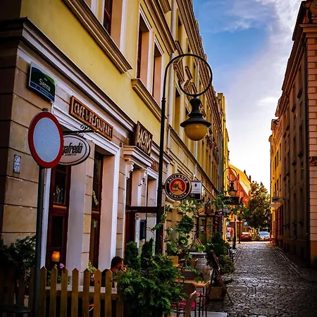 Gryf In Centrum *